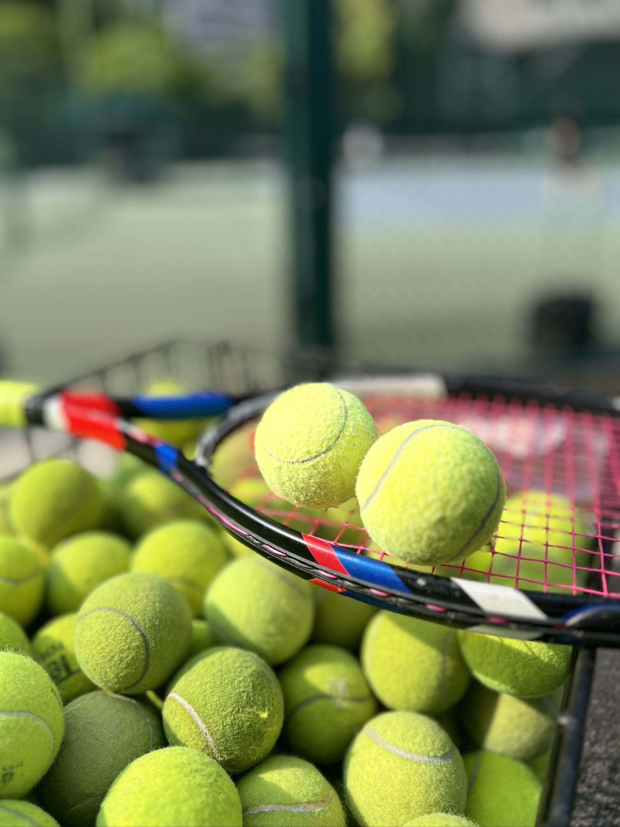 了女子乒乓 了女子乒乓