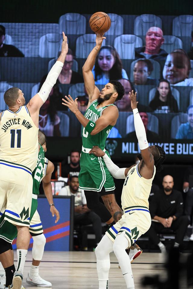 拉菲尼亚在 拉菲尼亚在