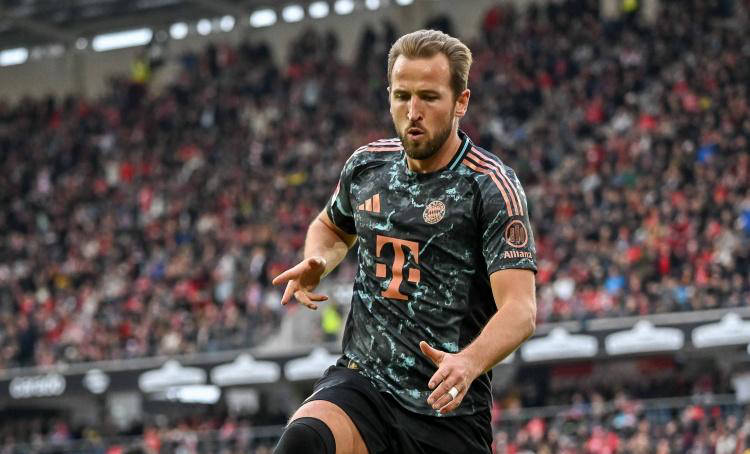 快船队的其 快船队的其