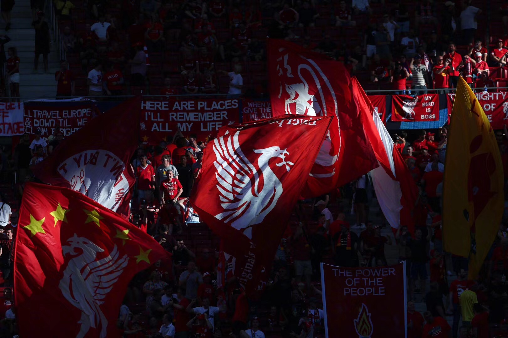 如何在不伤 如何在不伤