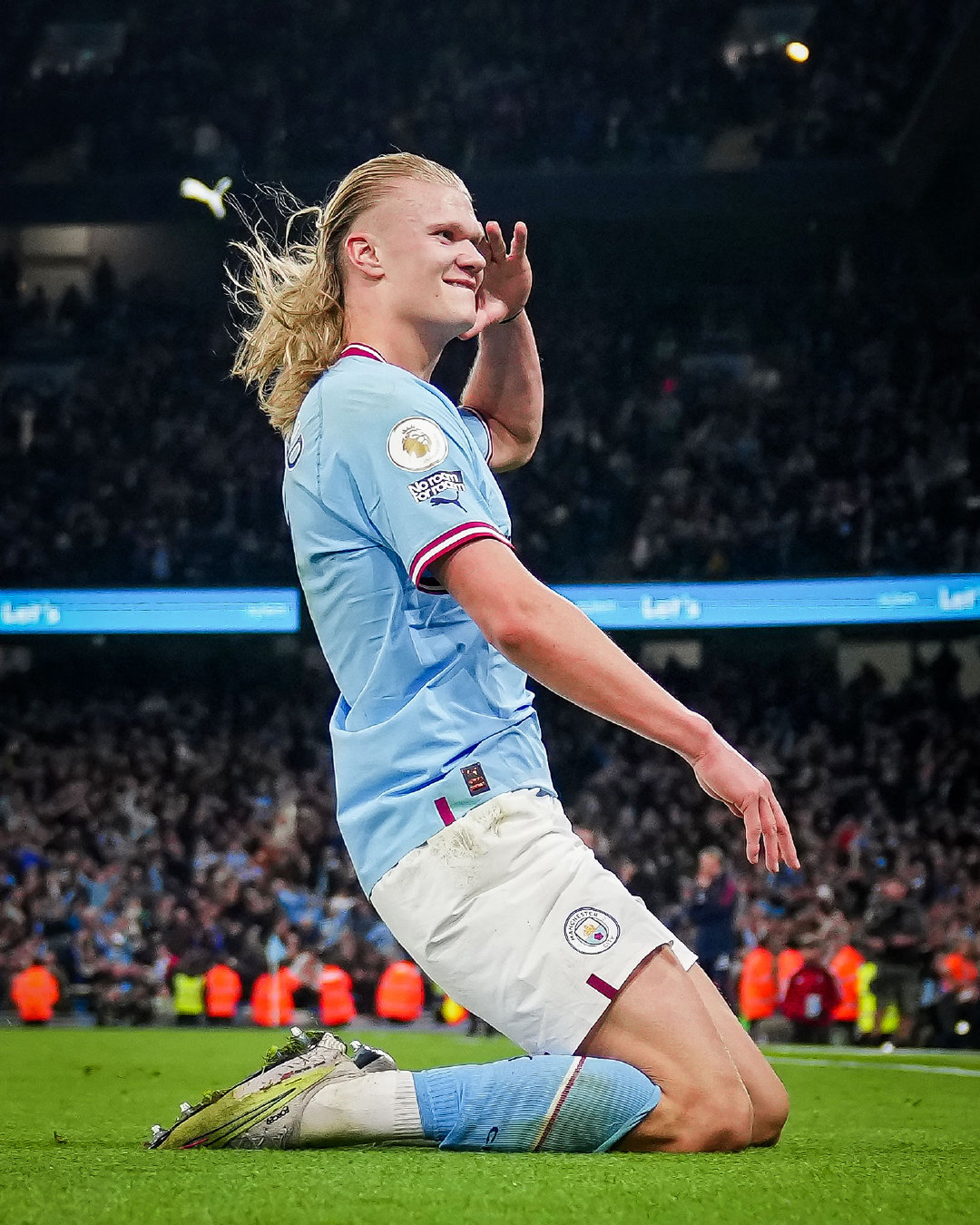 确立胜势 确立胜势