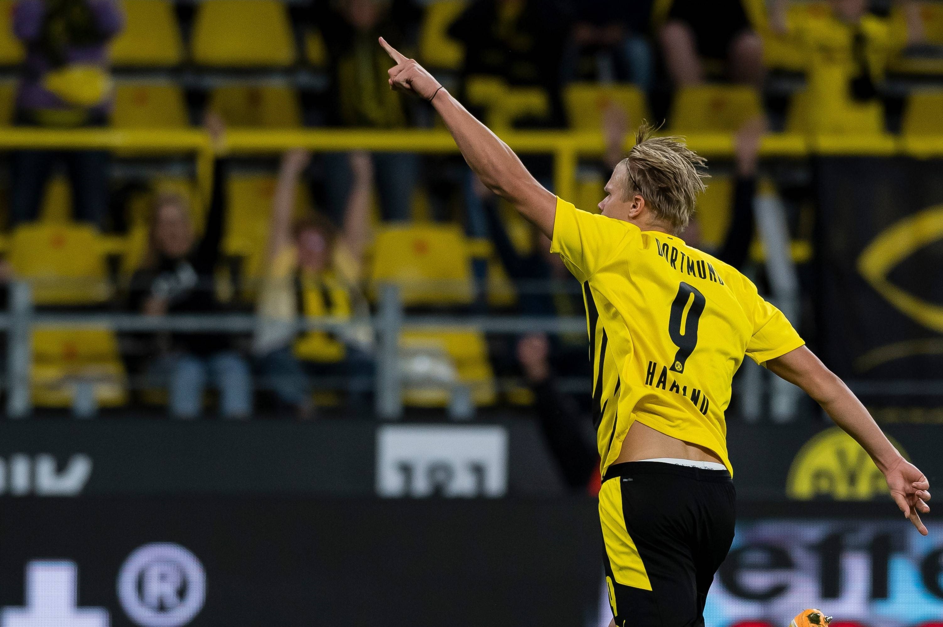 努力转化为 努力转化为